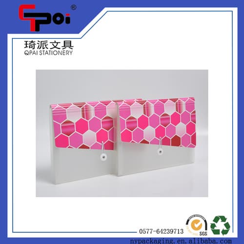 A4 PP File Folder Elastic Fashion Translucent Plastic Expand